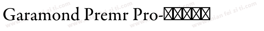 Garamond Premr Pro字体转换